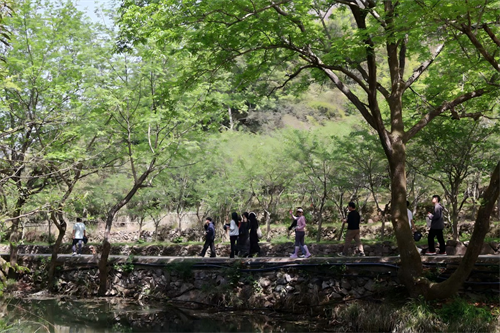 Foirgneamh Foirne Sona i Zhong Yandang Mountain